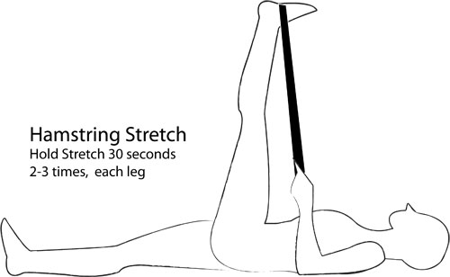 hamstring+stretch